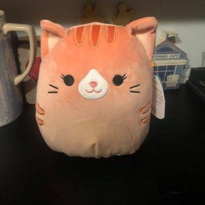 NWT 8" Gigi the Tabby Cat Squishmallow